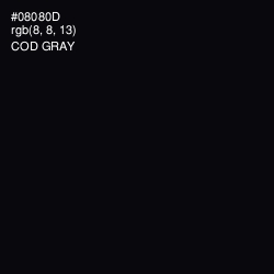 #08080D - Cod Gray Color Image